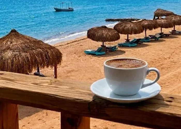 Hotel Mermaid Camp